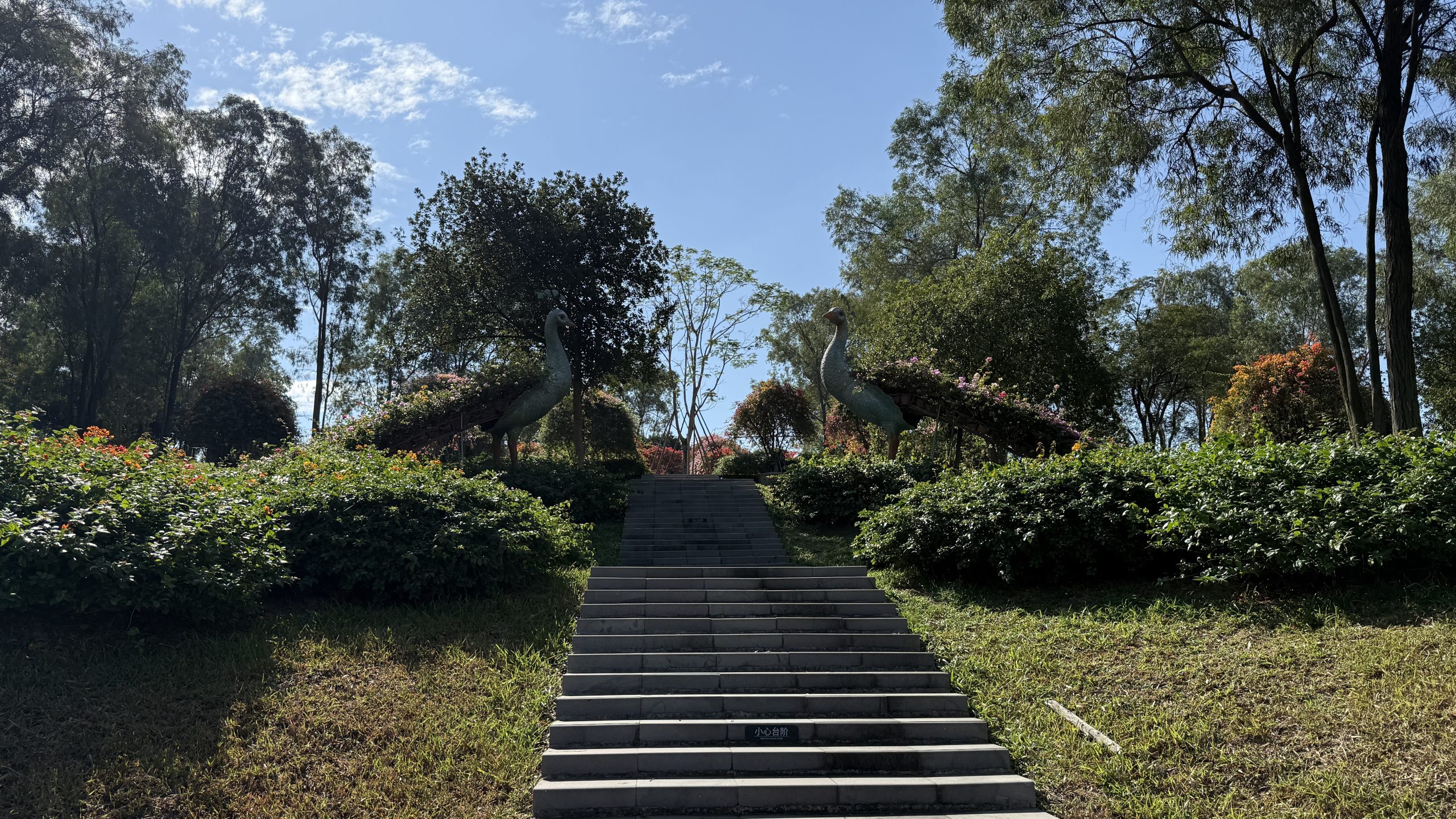 20251116马岭植物园