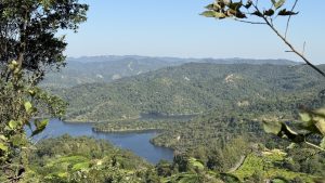 幻灯片-Plnl‘s Blog